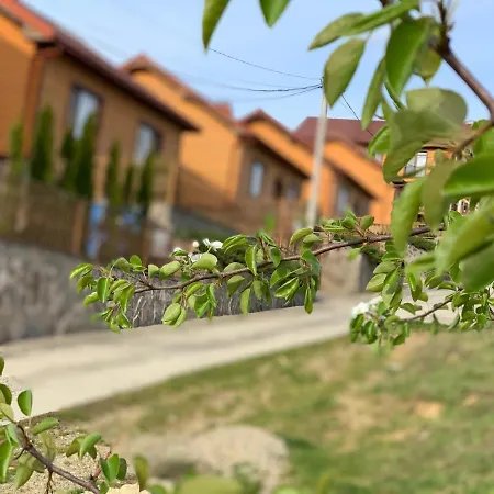 Mini Solnce Karpat * Polyana (Transcarpathia)