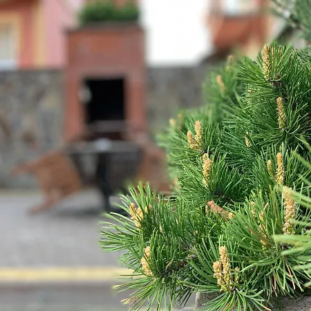 Inn Mini Solnce Karpat Polyana (Transcarpathia)