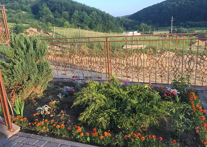 Mini Solnce Karpat 波利亚纳